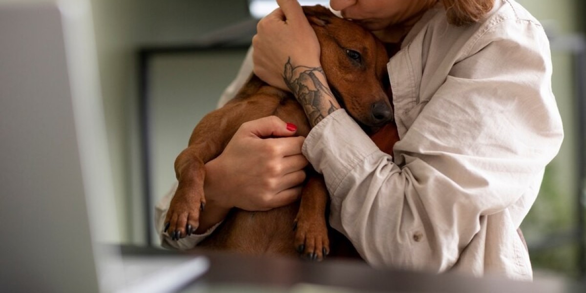 What Is Fenbendazole 444Mg for Dogs?