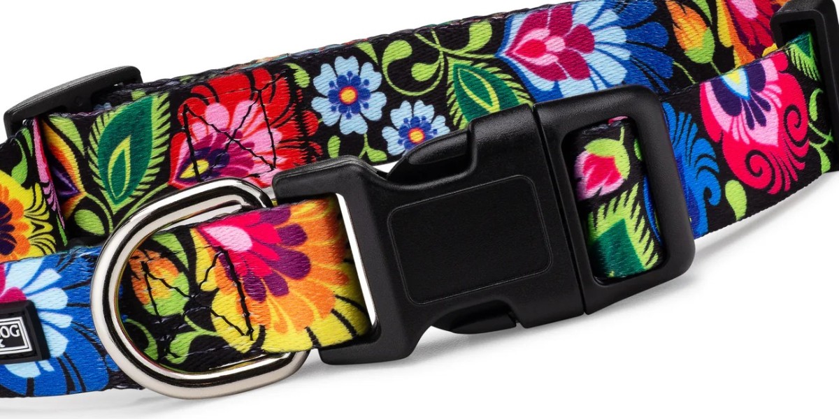Elevate Every Adventure: Why the BlackBird Dog Collar is the Ultimate Choice for Active Dogs