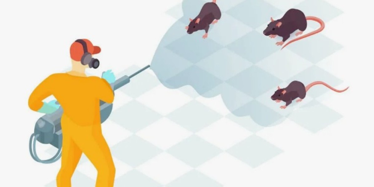 Rat Control Services in Lahore Professional Rodent Control & Prevention