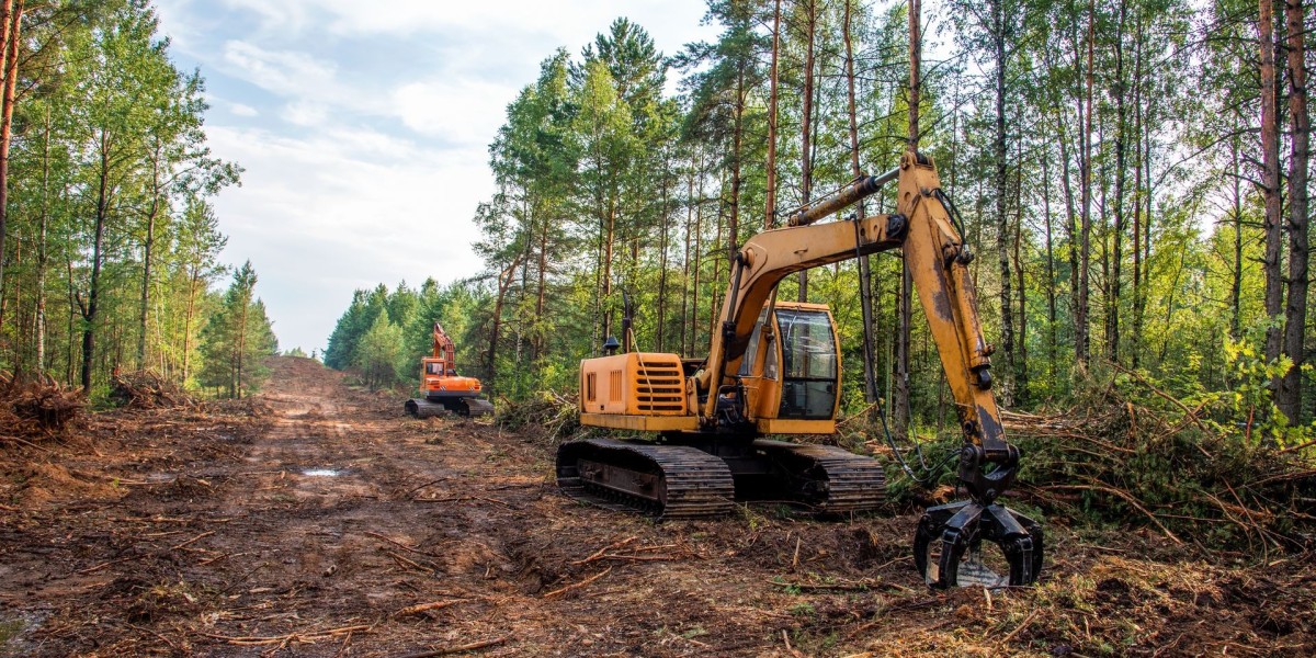 Land Clearing Costs in Berwyn IL: What to Expect