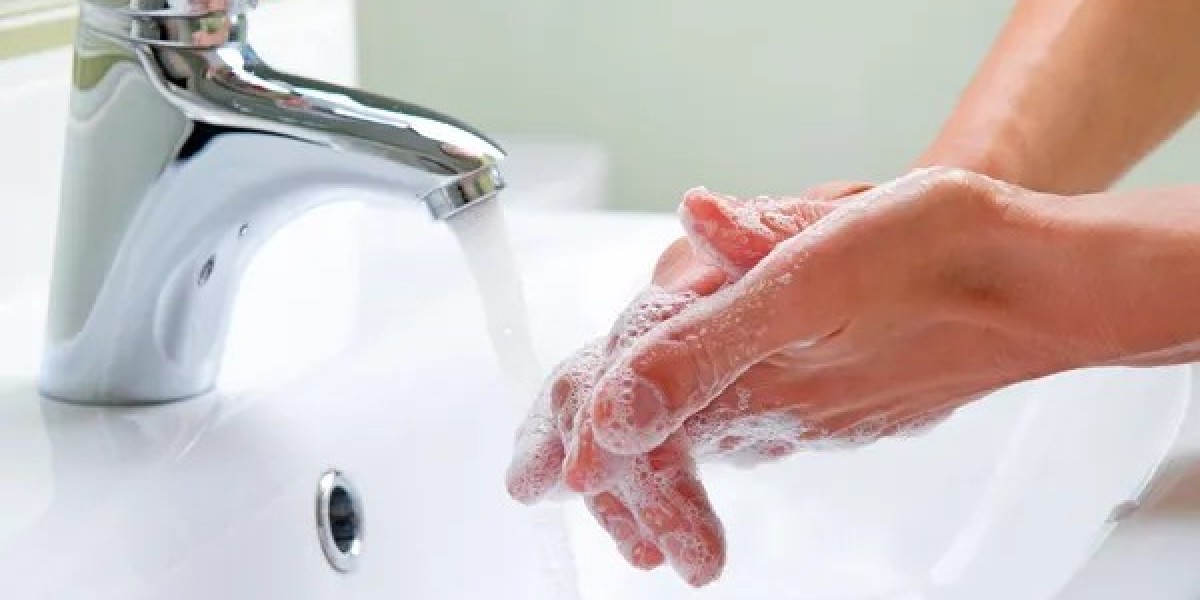 Germ-Fighting & Moisturizing Liquid Hand Wash for Healthy, Soft Hands