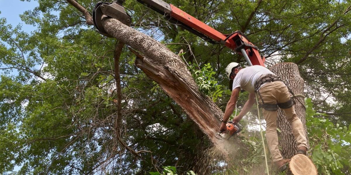 Tree Service in Burr Ridge, IL – Expert Tree Care for Homes & Businesses