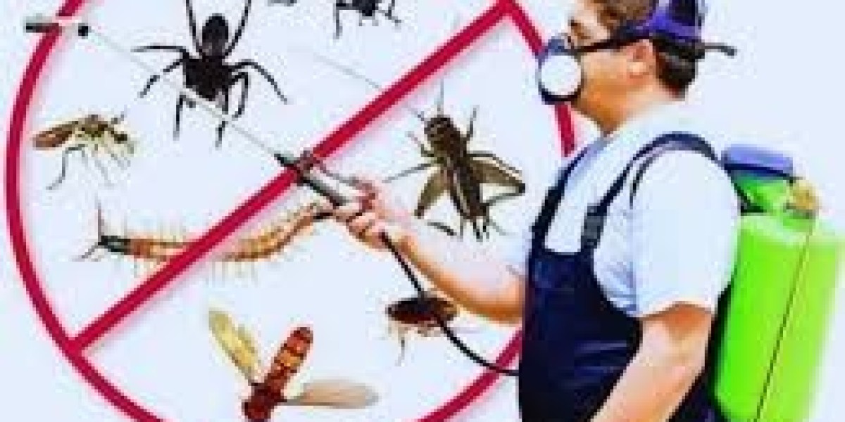 Termite Treatment Service in Lahore Powerful Protection for a Pest-Free Property