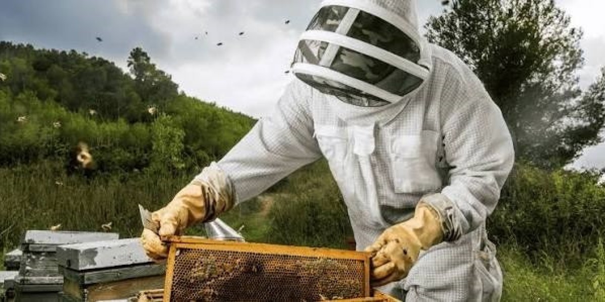 Bee Removal in NYC: Safe Solutions for Homes and Businesses