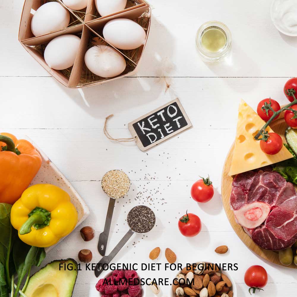 Ketogenic Diet for Beginners | Read details by Allmedscare.com