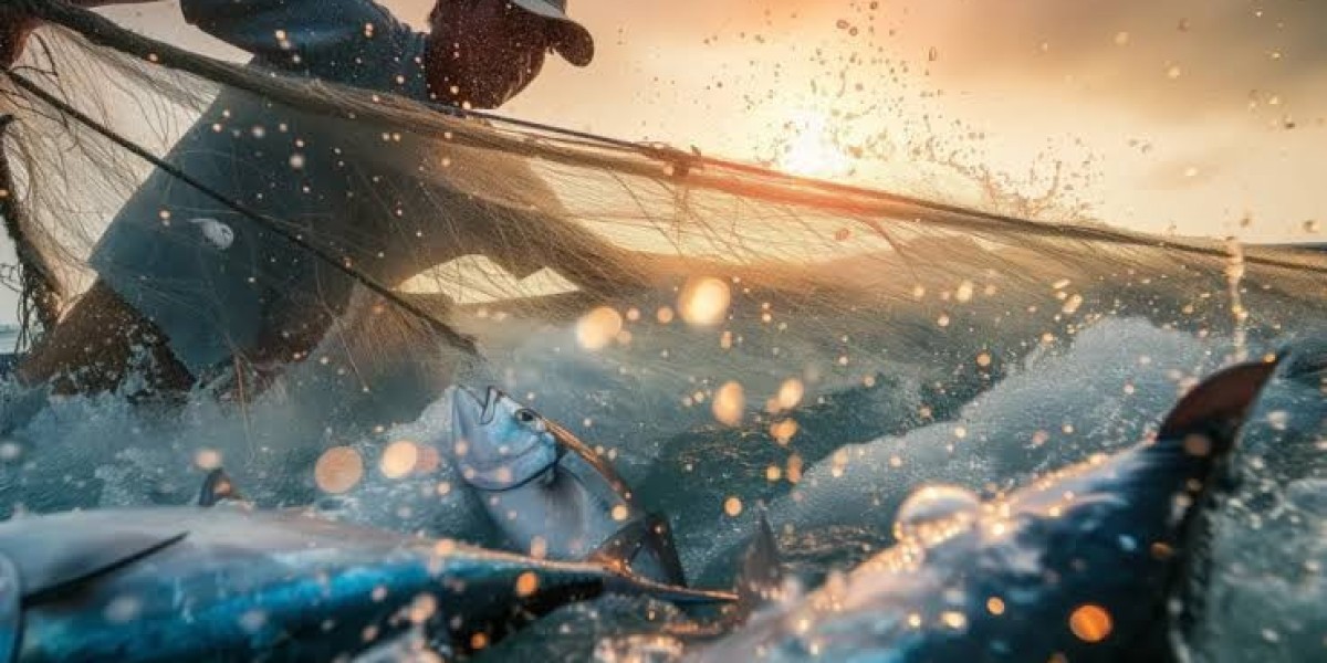 Lake Michigan Salmon Fishing: What Should Anglers Know?
