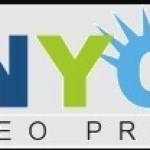 NYC SEO Pro Profile Picture