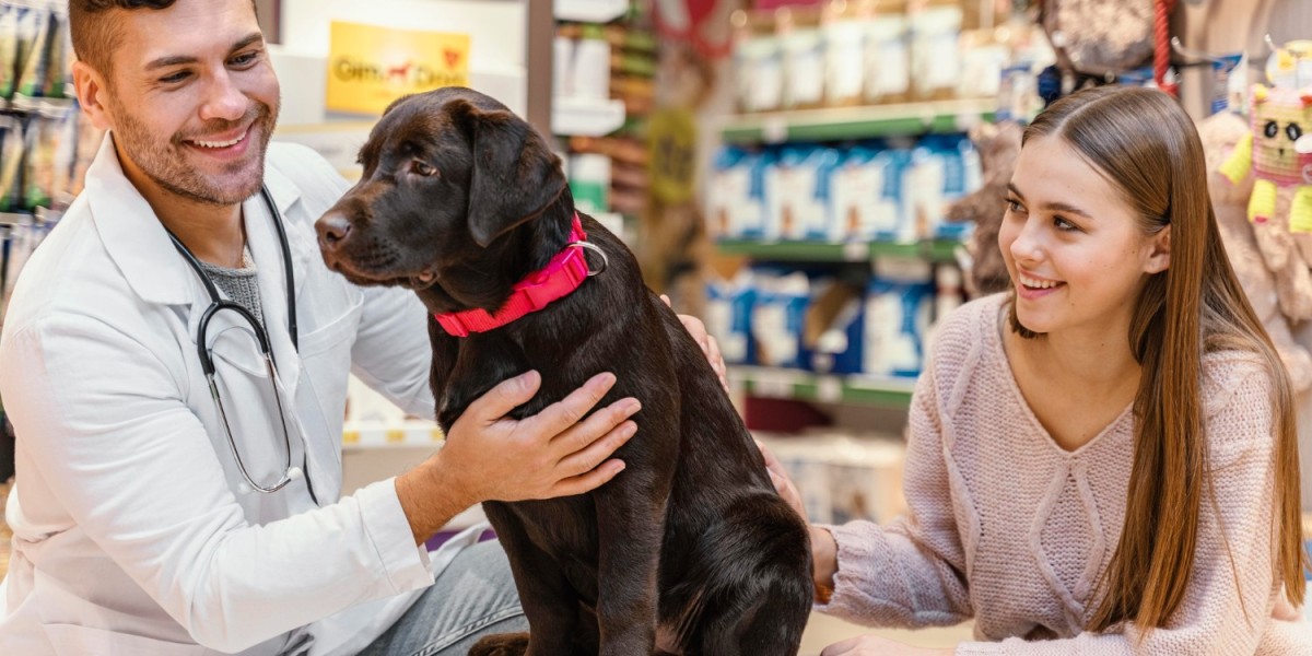 Heartworm Prevention For Dogs Without Vet Prescription