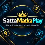playsatkamatka matka Profile Picture