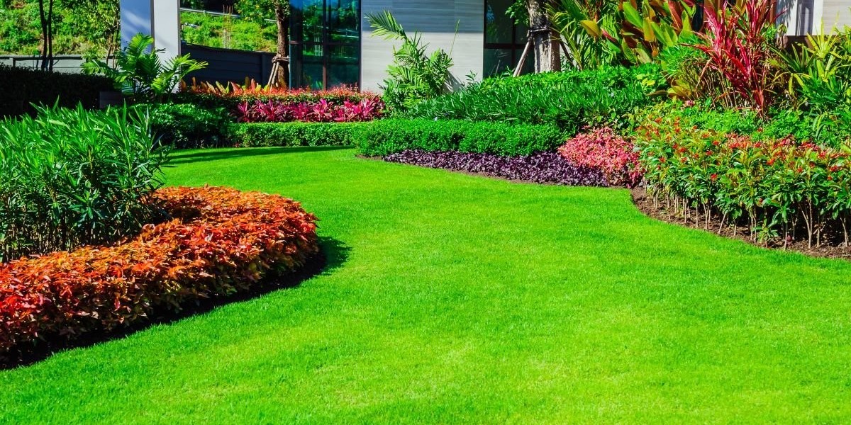 Residential Landscape Installation Houston TX: What Homeowners Should Know Before Getting Started