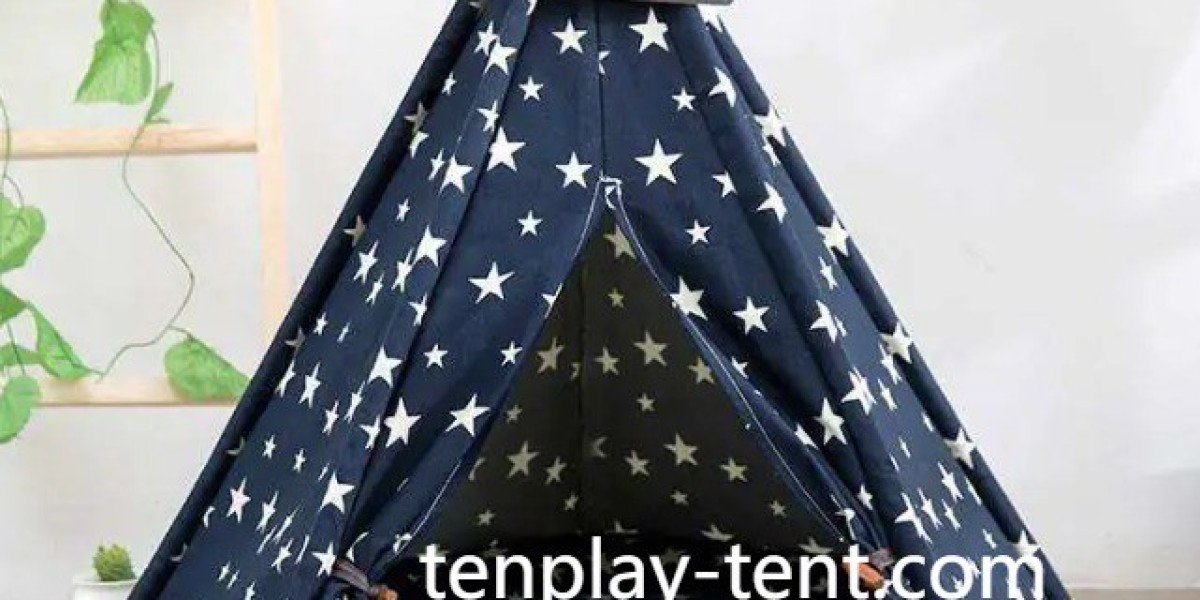 Material Selection and Style in Contemporary Caravan Camping Equipment